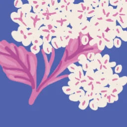 HYDRANGEA_2