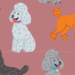 POODLES