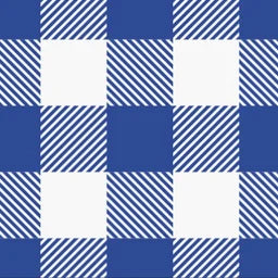 Plaid3_BlueWhite