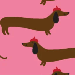 DOGs_DachshundPink